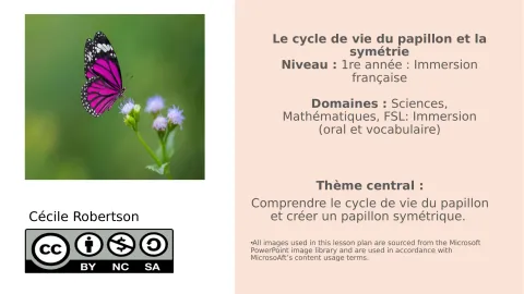 Le cycle de vie du papillon et la symétrie (1re année – immersion)