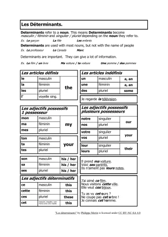 Les déterminants (articles et adjectifs possessifs/démonstratifs)