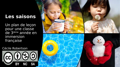 Les saisons – Plan de leçon (3e année immersion française)