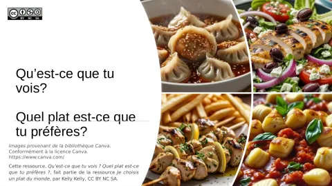 Quel plat est-ce que tu préfères?